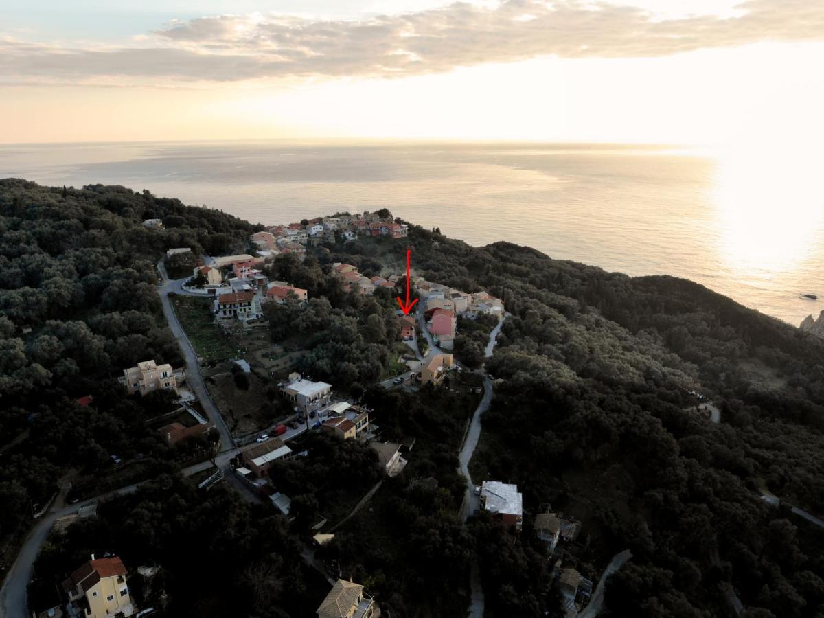 Coralli Pentati 2 "Dimitris Apartments" Eksteriør billede